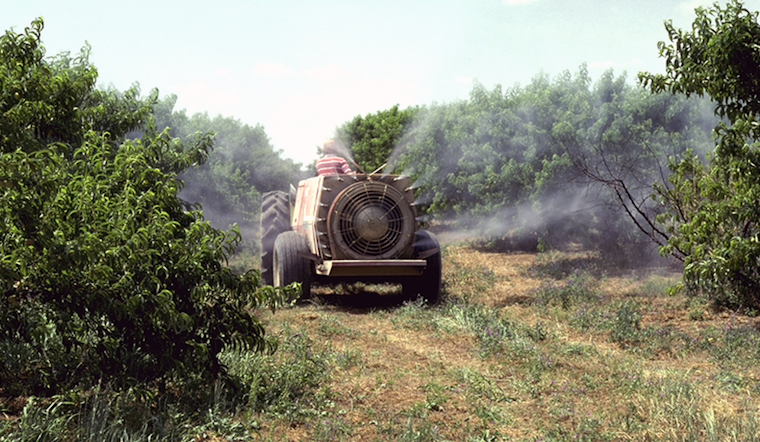 Dallas Initiates Pesticide Spraying in Neighborhoods Amid West Nile Virus Threat