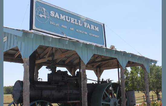 Dallas Locals Invited to Spine-Tingling "Miss Jimmy's Haunted Hike" at Samuell Farm on October 26