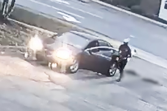 DeKalb County DA Seeks Public Help to Find Suspect in Fatal Animal Cruelty Case in Lithonia