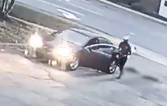 DeKalb County DA Seeks Public Help to Find Suspect in Fatal Animal Cruelty Case in Lithonia