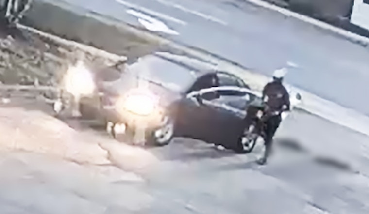 DeKalb County DA Seeks Public Help to Find Suspect in Fatal Animal Cruelty Case in Lithonia