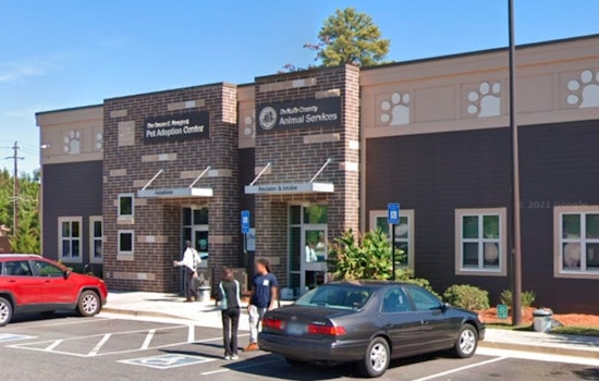 DeKalb County Takes Aim at Unregulated Pet Sales with New Ban to Protect Animals