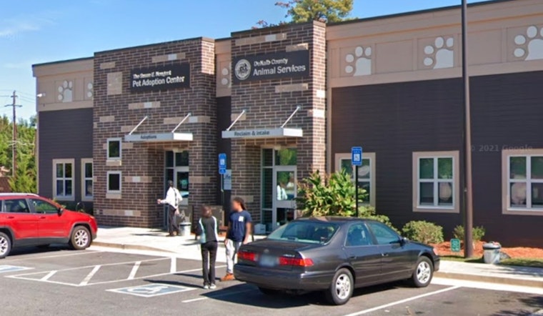 DeKalb County Takes Aim at Unregulated Pet Sales with New Ban to Protect Animals