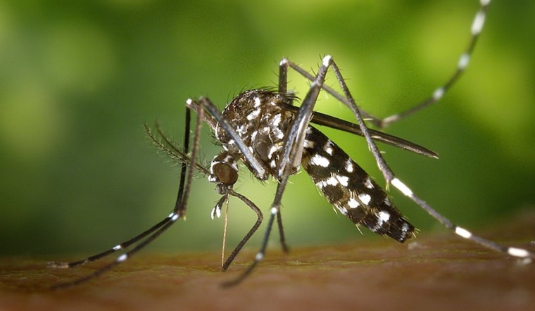 Dengue Cases Rise to Five in Baldwin Park, Prompting Vector Control and Public Health Clampdown