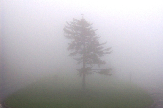 Dense Fog Advisory for Middle Tennessee: Nashville Commuters Warned of Reduced Visibility Hazards