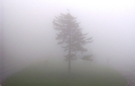 Dense Fog Advisory for Middle Tennessee: Nashville Commuters Warned of Reduced Visibility Hazards