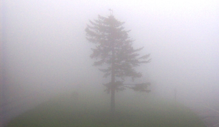 Dense Fog Advisory for Middle Tennessee: Nashville Commuters Warned of Reduced Visibility Hazards