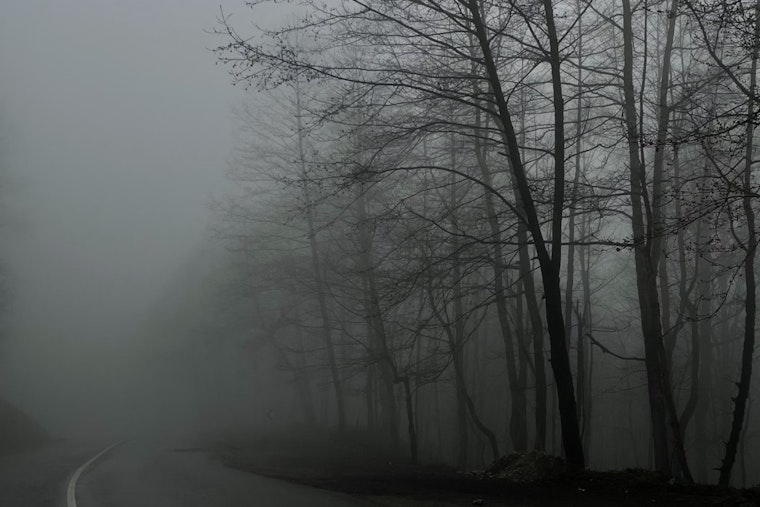 Dense Fog Advisory for Philadelphia Commuters with Clearing Expected by Mid-Morning