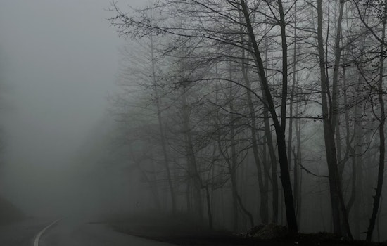Dense Fog Advisory for Philadelphia Commuters with Clearing Expected by Mid-Morning