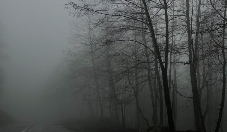 Dense Fog Advisory for Philadelphia Commuters with Clearing Expected by Mid-Morning