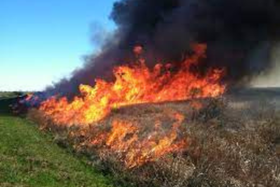 Denton County Judge Enacts Mandatory Burn Ban Amid Severe Drought Conditions