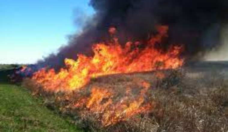 Denton County Judge Enacts Mandatory Burn Ban Amid Severe Drought Conditions