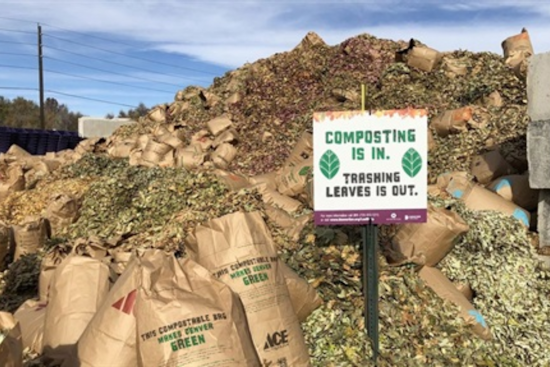 Denver Launches LeafDrop Program: Residents Encouraged to Compost Fall Leaves and Pumpkins