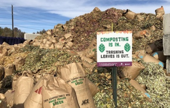 Denver Launches LeafDrop Program: Residents Encouraged to Compost Fall Leaves and Pumpkins