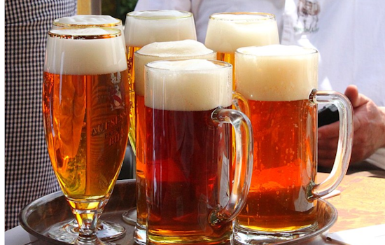 Denver Triumphs with 41 Medals at Great American Beer Festival, Local Breweries Shine