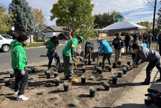 Denver's West 14th Avenue Gets a Green Makeover With Sustainable Urban Development Project
