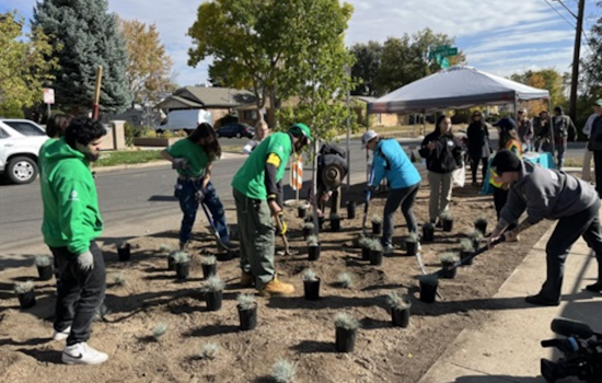 Denver's West 14th Avenue Gets a Green Makeover With Sustainable Urban Development Project