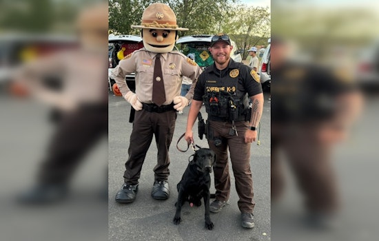 Deputy and K-9 Partner Steal the Show at Dewey-Humboldt Trunk or Treat Event, Bolstering Community Support for Yavapai County Sheriff's Office