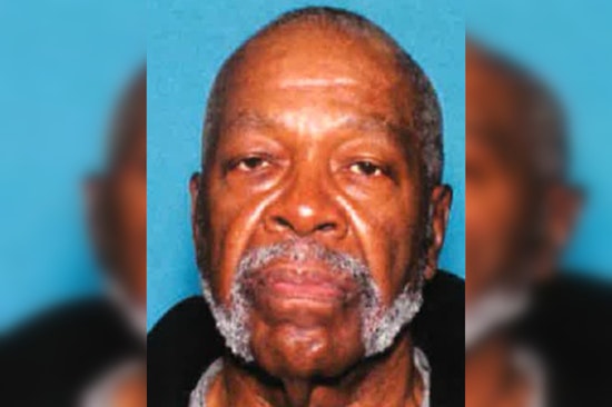 Detroit Community Rallies to Find Missing Senior with Dementia, Police Seek Public's Aid