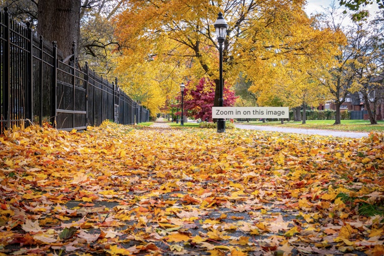 Detroit Welcomes Crisp Fall Weather with a Week of Sunny Skies Ahead