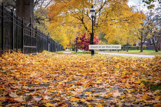 Detroit Welcomes Crisp Fall Weather with a Week of Sunny Skies Ahead
