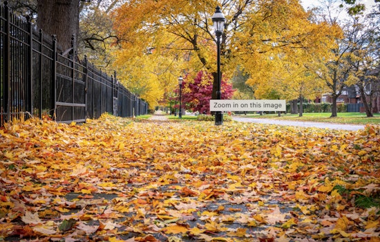 Detroit Welcomes Crisp Fall Weather with a Week of Sunny Skies Ahead