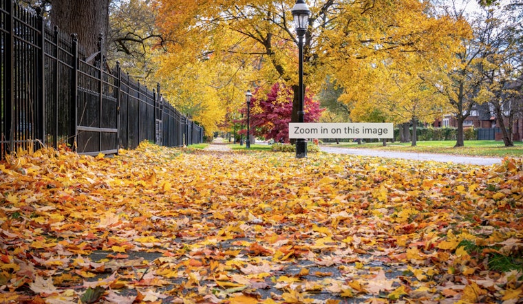 Detroit Welcomes Crisp Fall Weather with a Week of Sunny Skies Ahead