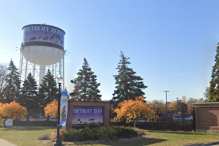 Detroit Zoo Aims to Foster Conservation and Education with New $20M Discovery Trails Project Set for 2026 Launch
