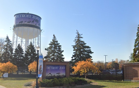 Detroit Zoo Aims to Foster Conservation and Education with New $20M Discovery Trails Project Set for 2026 Launch