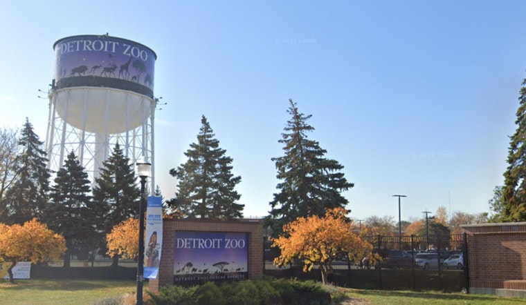 Detroit Zoo Aims to Foster Conservation and Education with New $20M Discovery Trails Project Set for 2026 Launch