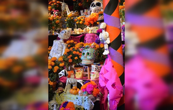 Discover Cultural Heritage at Día de Muertos Celebration in Lake Elmo Park Reserve