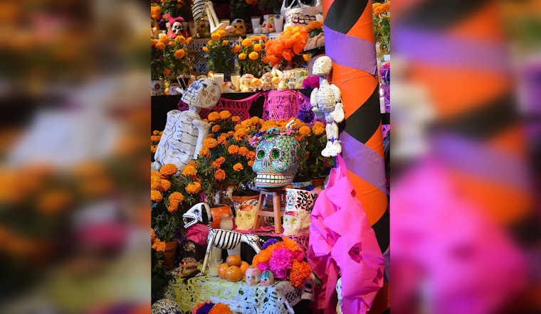 Discover Cultural Heritage at Día de Muertos Celebration in Lake Elmo Park Reserve