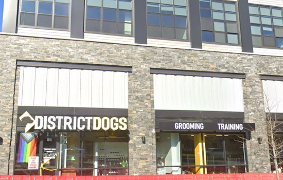 District Dogs Settles for $100k and Safety Upgrades After Fatal Flood in D.C., Rhode Island Ave Location Shuttered