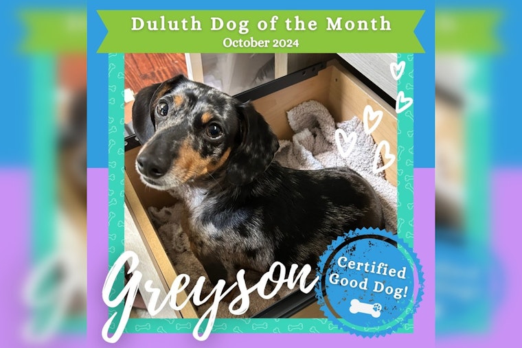 Duluth Celebrates Greyson the Dachshund as October's Dog of the Month, Promotes Environmental Initiative