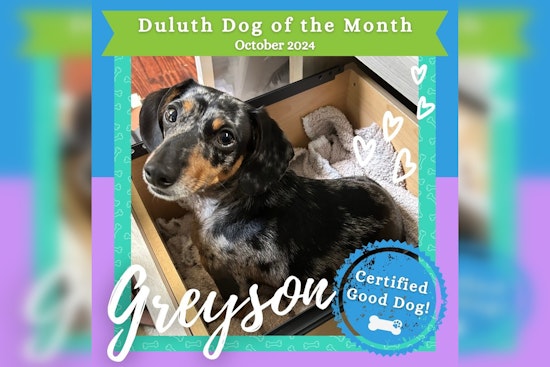 Duluth Celebrates Greyson the Dachshund as October's Dog of the Month, Promotes Environmental Initiative