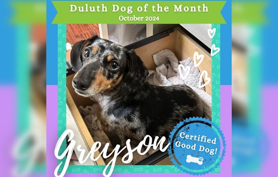 Duluth Celebrates Greyson the Dachshund as October's Dog of the Month, Promotes Environmental Initiative