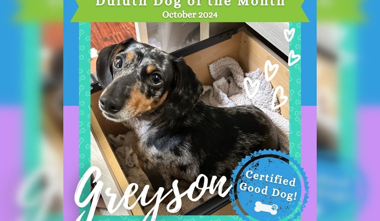 Duluth Celebrates Greyson the Dachshund as October's Dog of the Month, Promotes Environmental Initiative