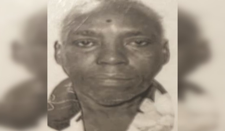 Duluth Community Urged to Aid in Search for Missing 71-Year-Old Marie Alabre