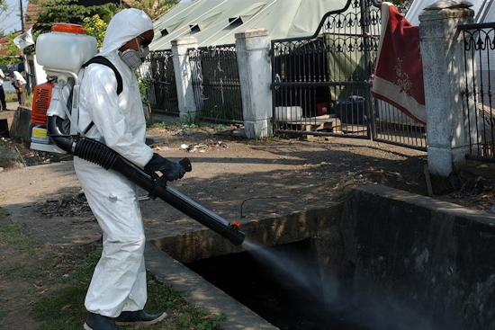 Duncanville to Conduct Ground Mosquito Spraying to Curb West Nile Virus Spread