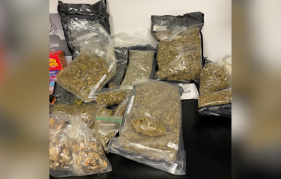 Duquesne Property Search for Wanted Sex Offender Leads to Major Drug Bust, Two Grays Arrested