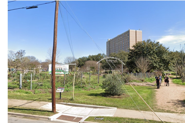 East Austin’s Festival Beach Food Forest Flourishes, Tripling in Size Amidst Urban Expansion