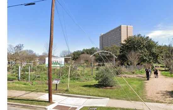 East Austin’s Festival Beach Food Forest Flourishes, Tripling in Size Amidst Urban Expansion