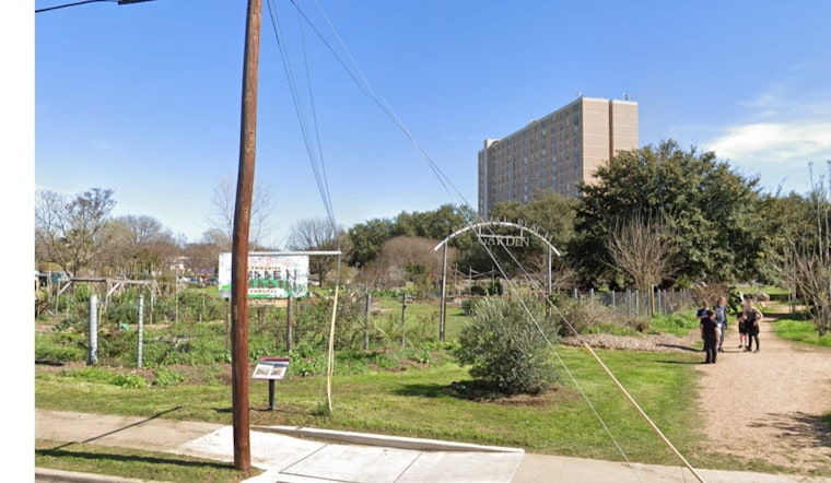 East Austin’s Festival Beach Food Forest Flourishes, Tripling in Size Amidst Urban Expansion