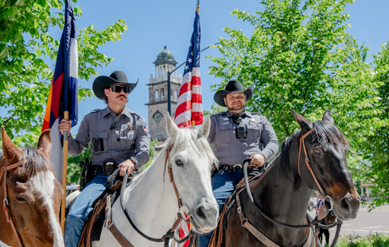 El Paso County Sheriff's Mounted Unit Mourns the Loss of Esteemed Equine Partner Zulu