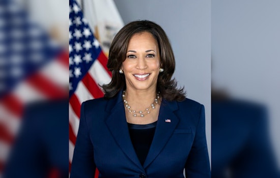 Election Edge of Your Seat, Trump and Harris in Final Showdown with Celebrity Shocks and Policy Punches