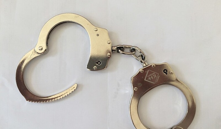 Eugene Woman Arrested on 46 Counts of Animal Neglect After Abandoning Dozens of Cats