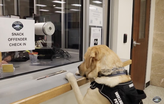 Everest Embraces Freedom After Exoneration in Pierce County, Begins Path to Reintegration and Rehabilitation