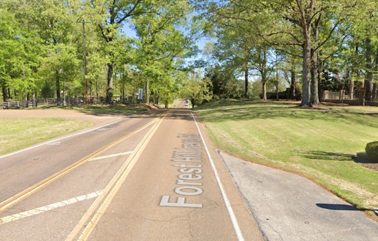 Expect Delays, Tree Removal to Disrupt Traffic on Forest Hill Irene Road in Germantown