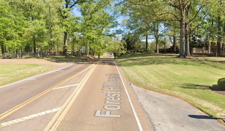 Expect Delays, Tree Removal to Disrupt Traffic on Forest Hill Irene Road in Germantown