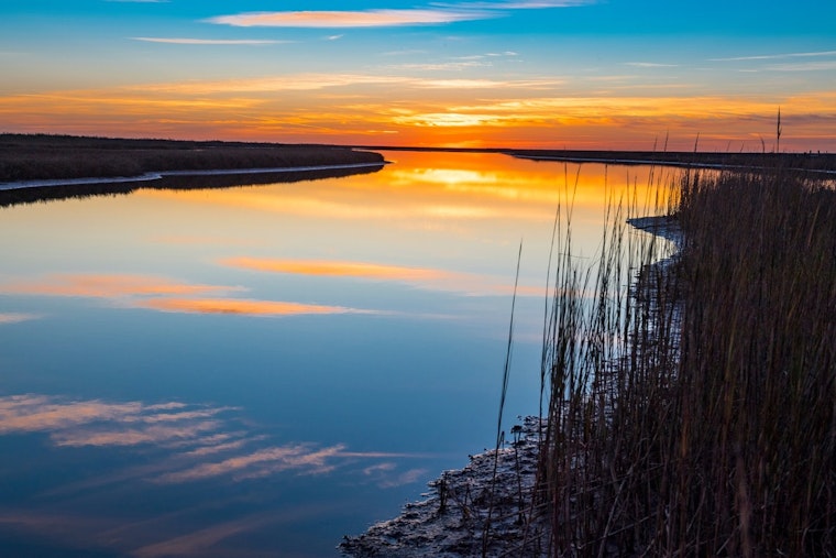 Explore Texas State Parks for Free on November 3 with Texas State Parks Day Celebration